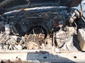 1984 Ford Bronco — photo 10 of 11 | VIN 1FMEU15H8ELA67073