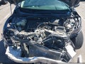 2017 Honda Civic — photo 10 of 17 | VIN 19XFC2F50HE028402