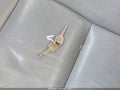 1998 Oldsmobile 88 — photo 11 of 16 | VIN 1G3HN52K2W4823059