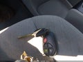 Photo 11 of 17 — 2015 Toyota Sienna