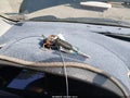 Photo 11 of 11 — 2009 Toyota Camry