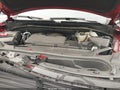 2024 Cadillac Escalade — photo 10 of 16 | VIN 1GYS4GKLXRR411776