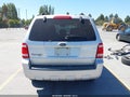 Photo 16 of 16 — 2008 Ford Escape