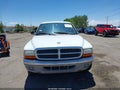 Photo 6 of 10 — 2003 Dodge Dakota