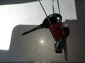 2000 Jeep Cherokee — photo 11 of 16 | VIN 1J4FF48S0YL116230