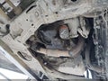 Photo 18 of 18 — 2021 Honda CR-V