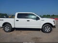 Photo 14 of 17 — 2016 Ford F-150