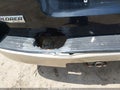 2008 Ford Explorer — photo 18 of 19 | VIN 1FMEU74E38UB13806