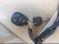 2007 Chevrolet Tahoe — photo 11 of 11 | VIN 1GNFC13077R299065
