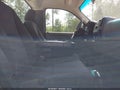 Photo 5 of 17 — 2010 Chevrolet Silverado 1500