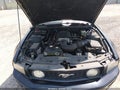 Photo 10 of 16 — 2006 Ford Mustang