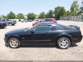 Photo 14 of 16 — 2006 Ford Mustang
