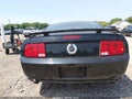 Photo 16 of 16 — 2006 Ford Mustang