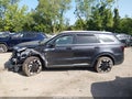 2025 Kia Sorento — photo 14 of 16 | VIN 5XYRHDJF5SG375910