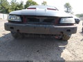 Photo 6 of 15 — 2003 Ford Mustang