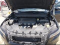 2021 Jeep Cherokee — photo 10 of 16 | VIN 1C4PJMLB7MD127424