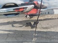 Photo 12 of 17 — 2023 Hyundai Elantra