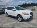 2009 Hyundai Santa Fe — photo 1 of 11 | VIN 5NMSH73E29H316420