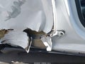 2023 Tesla Model Y — photo 23 of 24 | VIN 7SAYGDEE5PA093944