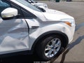 Photo 20 of 21 — 2014 Ford Escape