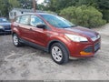 2014 Ford Escape — photo 1 of 17 | VIN 1FMCU0F74EUB55295