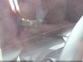 2025 Lucid Air — photo 14 of 15 | VIN 50EA1PGA6SA006998