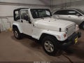 2003 Jeep Wrangler — photo 1 of 16 | VIN 1J4FA49S53P307348