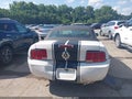 2007 Ford Mustang — photo 17 of 17 | VIN 1ZVFT84N175361379