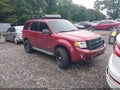 Photo 1 of 11 — 2008 Ford Escape