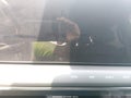 2026 Kia EV9 — photo 17 of 20 | VIN 5XYADFS52TG010211