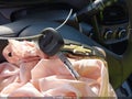 2021 Chevrolet Spark — photo 11 of 19 | VIN KL8CB6SA7MC704595