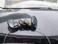 2012 Toyota Sienna — photo 11 of 16 | VIN 5TDKK3DC6CS258436