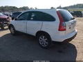 2009 Honda CR-V — photo 3 of 16 | VIN 5J6RE38789L032132