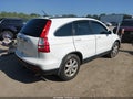 2009 Honda CR-V — photo 4 of 16 | VIN 5J6RE38789L032132