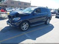 2014 Mercedes-Benz ML-Class — photo 2 of 18 | VIN 4JGDA5HB9EA386416