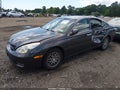 2004 Lexus ES 330 — photo 2 of 15 | VIN JTHBA30G845027992
