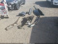 2023 Chevrolet Tahoe — photo 14 of 14 | VIN 1GNSCNKD2PR376158