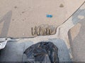 2016 Jeep Wrangler — photo 11 of 16 | VIN 1C4AJWAG6GL196275