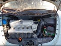 2006 Volkswagen Beetle — photo 10 of 11 | VIN 3VWRF31Y86M321959