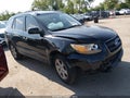 2007 Hyundai Santa Fe — photo 1 of 16 | VIN 5NMSH13EX7H096485