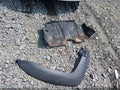 2013 Toyota Tacoma — photo 12 of 13 | VIN 5TFPX4EN8DX018202