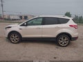 Photo 15 of 17 — 2016 Ford Escape
