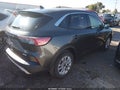 2020 Ford Escape — photo 4 of 16 | VIN 1FMCU0G63LUB13249