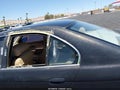 1999 BMW 5 Series — photo 16 of 16 | VIN WBADM6334XBY24948