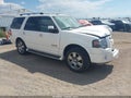 2010 Ford Expedition — photo 1 of 15 | VIN 1FMJU1K52AEA43360
