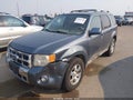 Photo 2 of 11 — 2010 Ford Escape