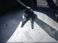 2013 Chevrolet Impala — photo 11 of 11 | VIN 2G1WF5E39D1210124