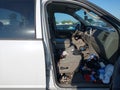 2007 Dodge Ram 1500 — photo 5 of 13 | VIN 1D7HA18P97J567647