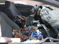 2010 Honda Civic — photo 5 of 16 | VIN 2HGFA1F59AH331352