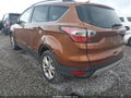 Photo 14 of 14 — 2017 Ford Escape